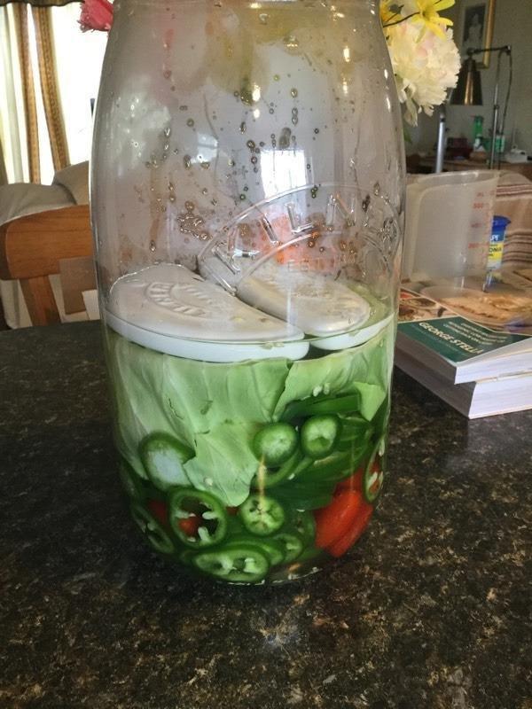 Kilner 5 Litre Fermentation Set customer photo 2