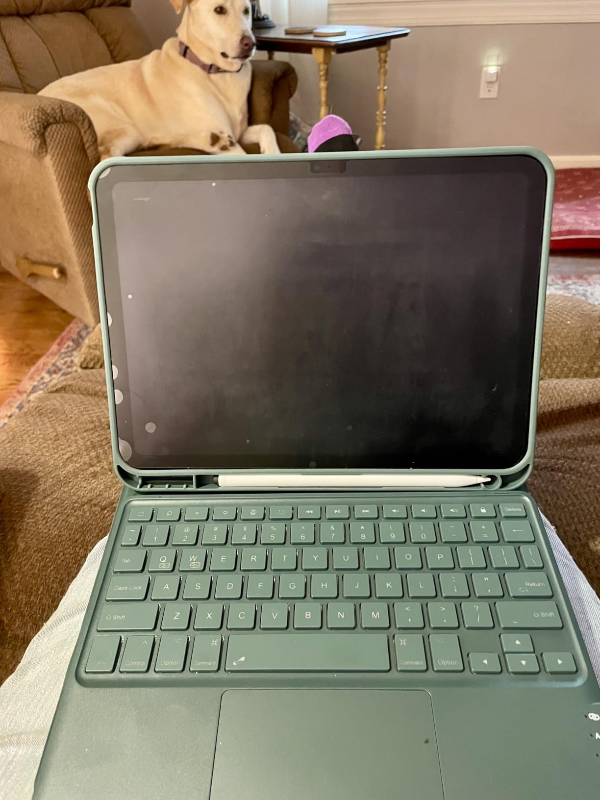 CHESONA Compatible for iPad 11th(A16)/10th Generation Case with Keyboard customer photo 1