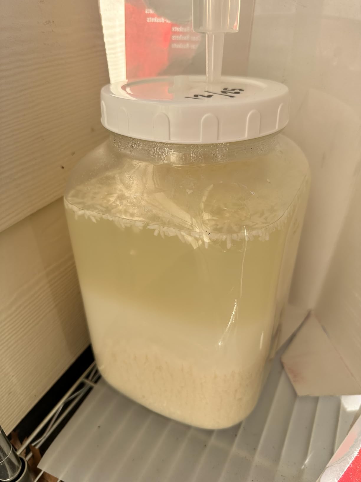 Dried Rice Koji – Made in Japan | For Shio Koji, Miso, Soy Sauce, Amazake | Vegan, Gluten-Free, No Additives (800g) customer photo 2
