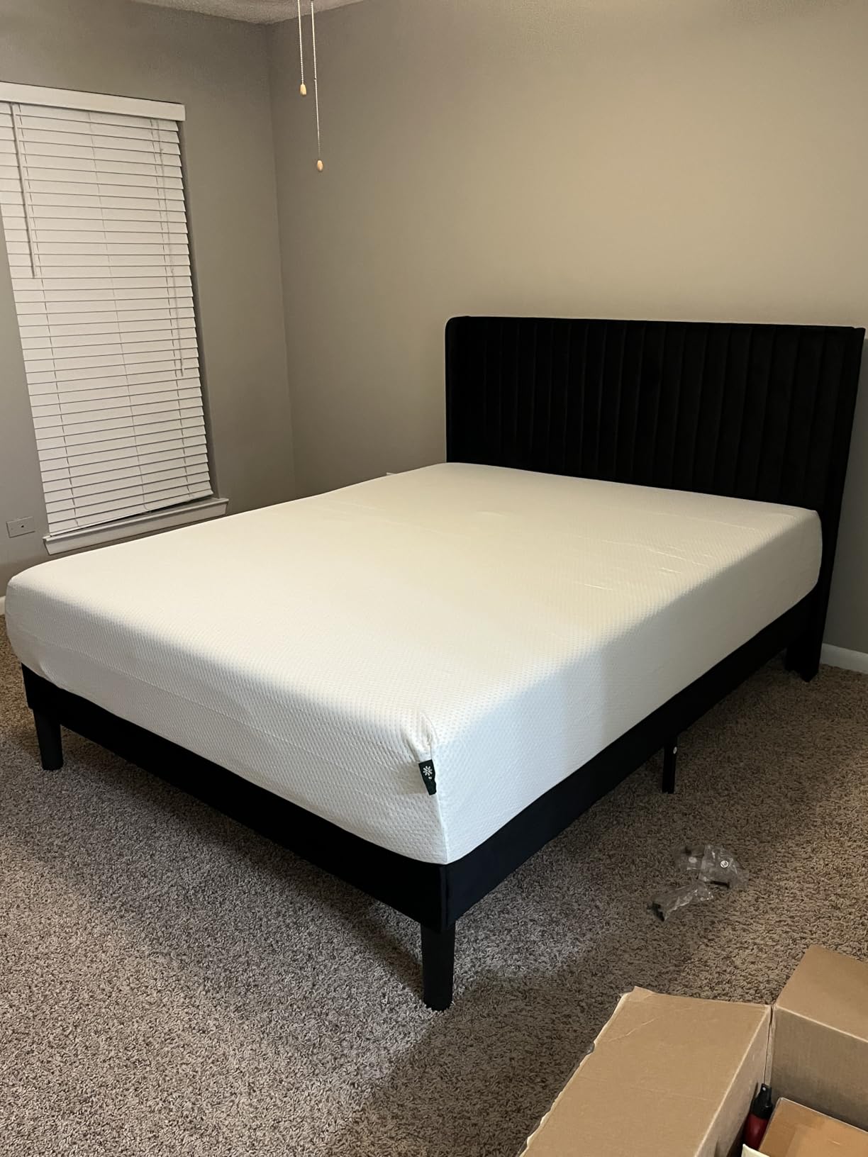 Zinus Memory Foam 12 Inch Green Tea Mattress, King, White customer photo 1