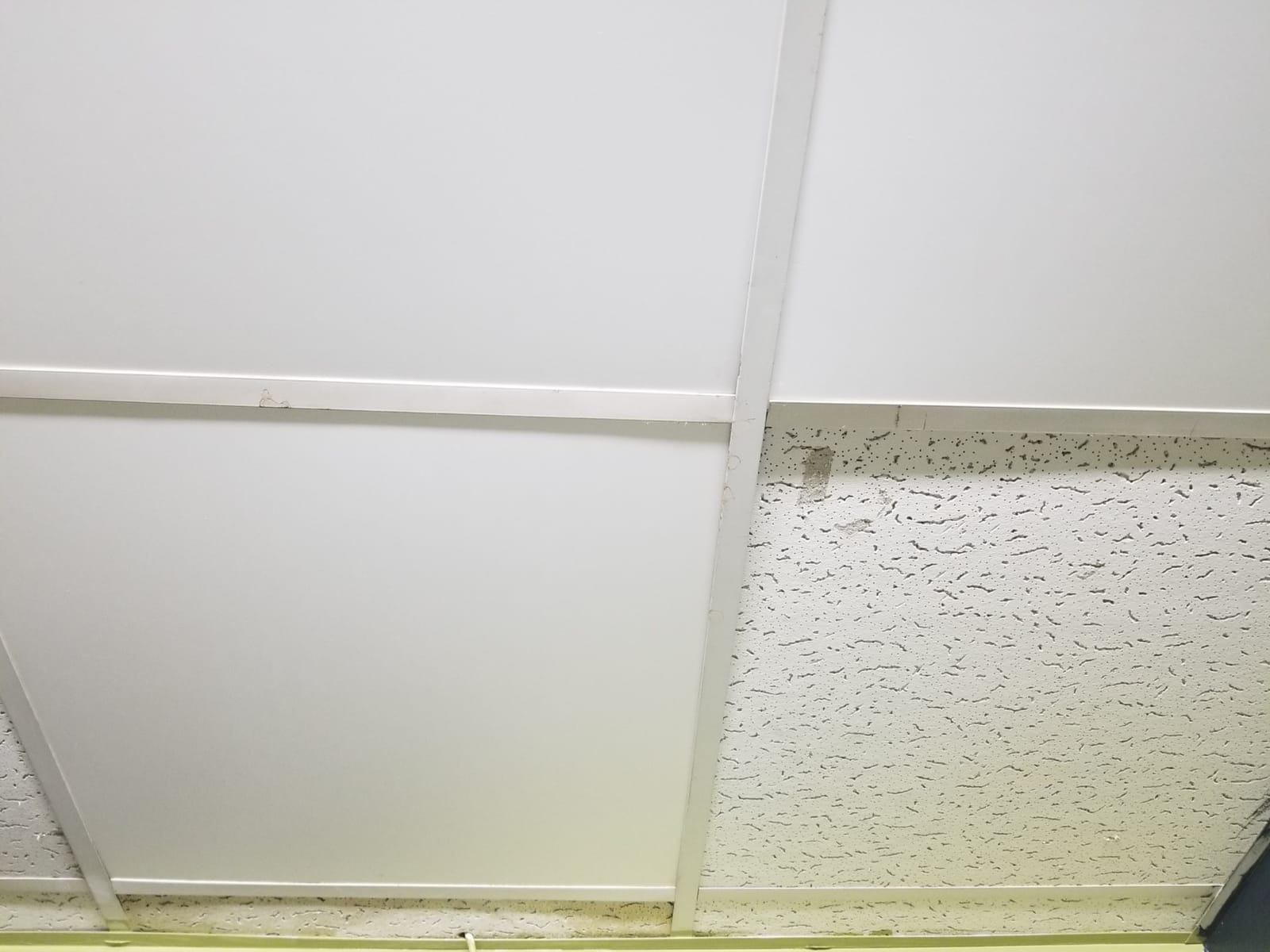 Genesis 2ft x 2ft Smooth Pro White PVC Ceiling Tiles (24 Tiles) customer photo 1