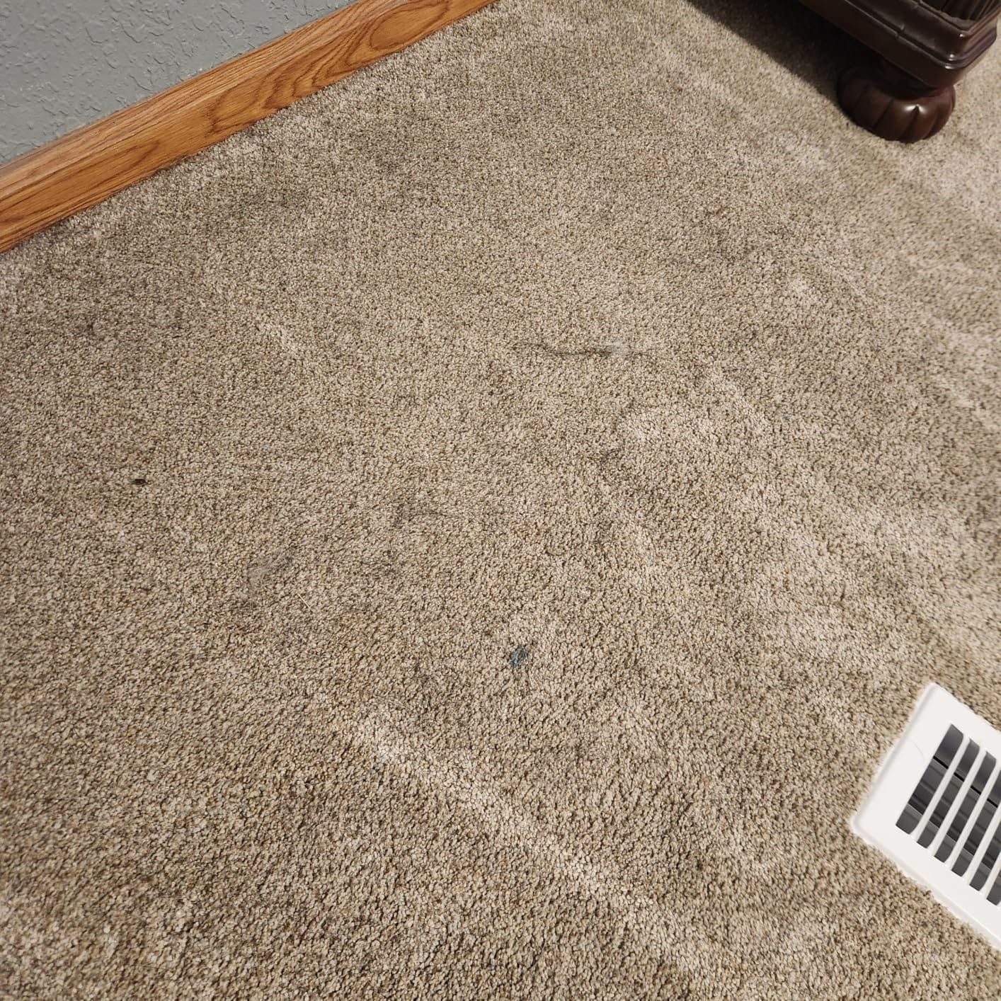 Dyson Ball Animal Total Clean Upright Vacuum customer photo 2