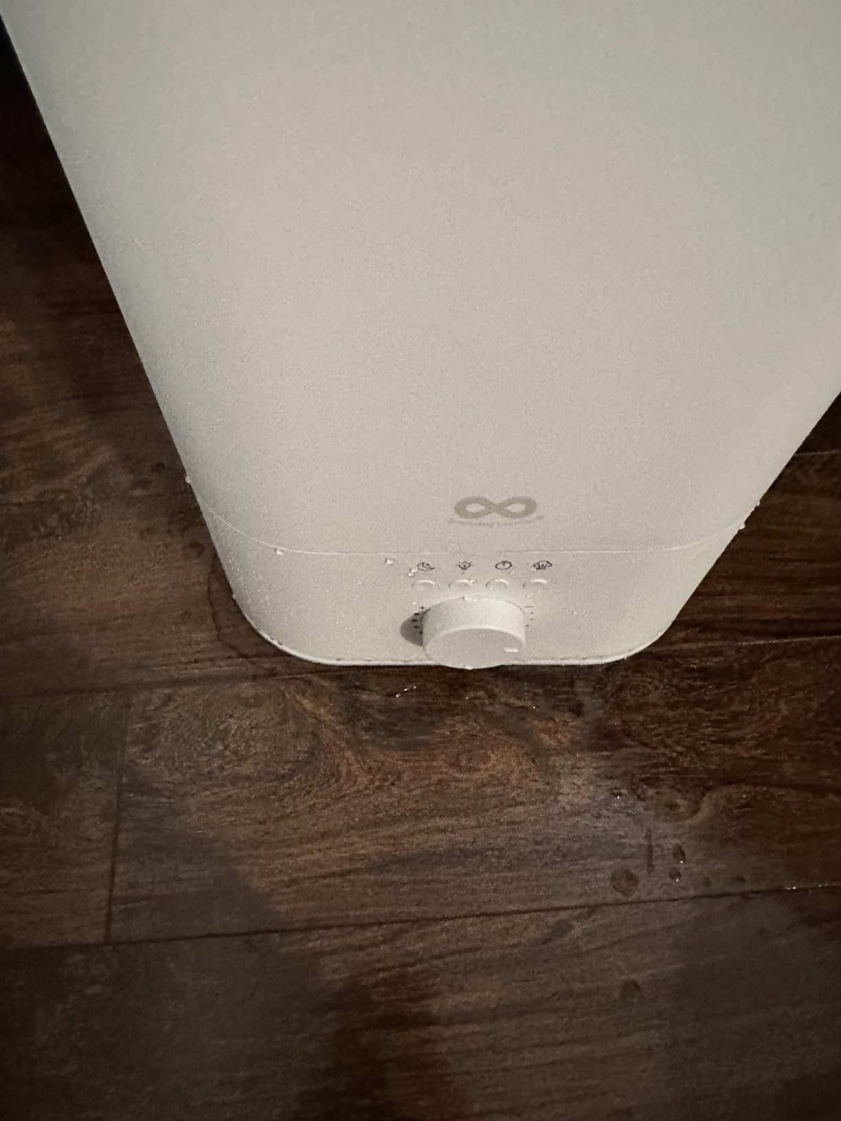 Everlasting Comfort 6L Large Humidifier for Bedroom, 28 dB Cool Mist customer photo 1