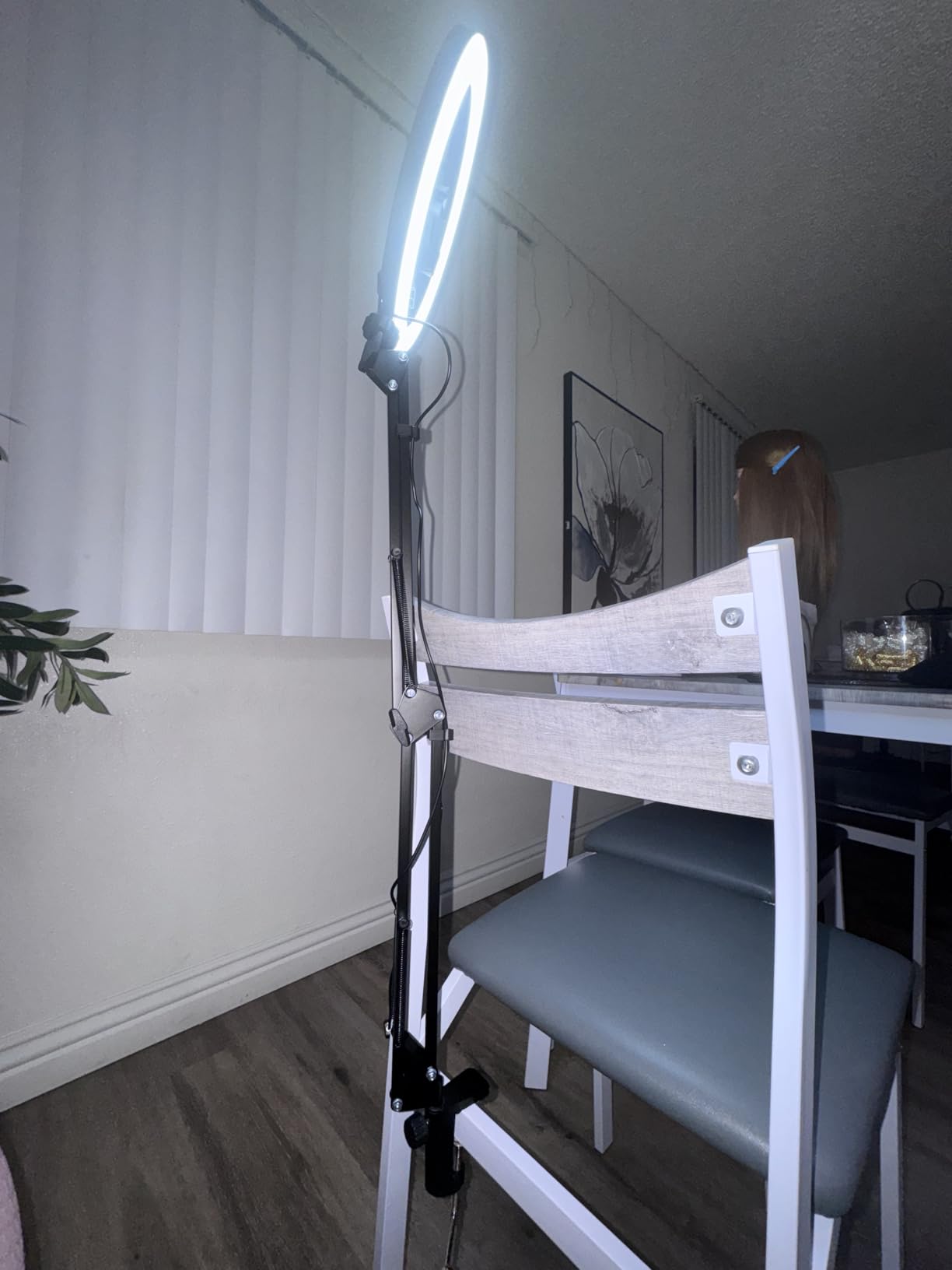 InnoGear Overhead Phone Mount Ring Light with Stand for Desk Canvas Lamp customer photo 1