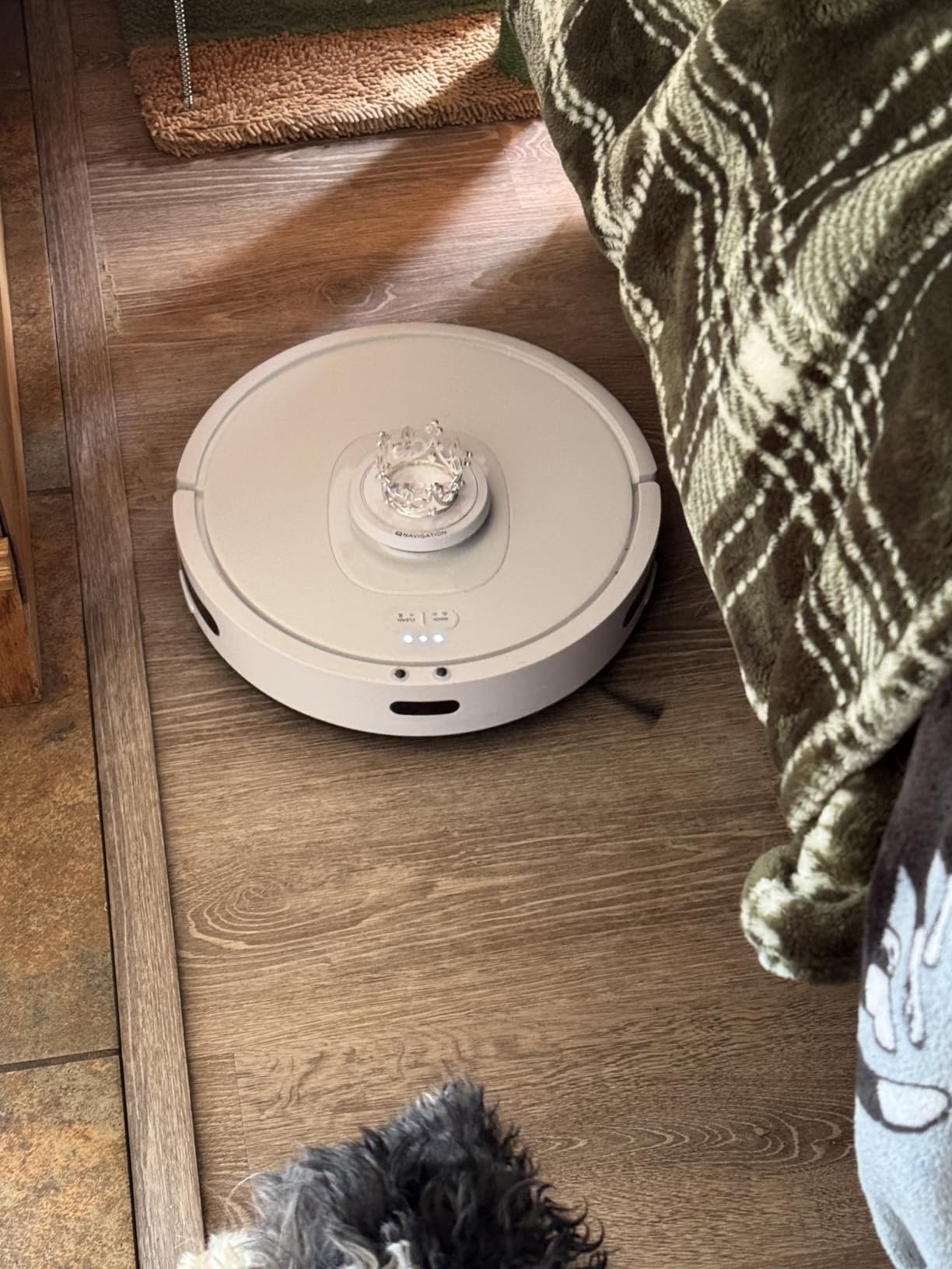 Shark PowerDetect NeverTouch Robot Vacuum & Mop, RV2820YE customer photo 2