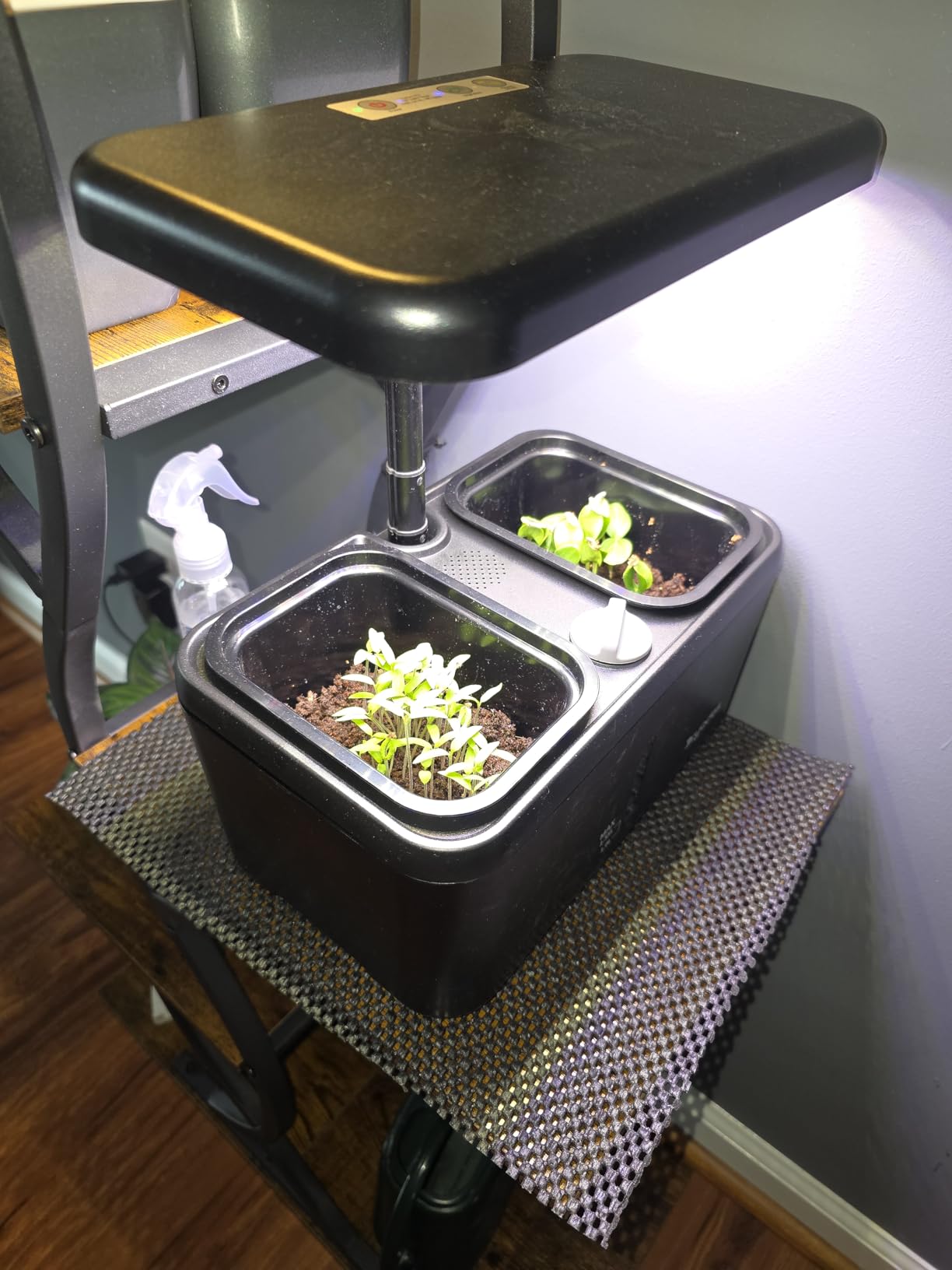Indoor Garden Planter Growing Systems Soil plant pot indoor Small Smart Soil Gardening System with 17 Watts LED Grow Light Auto Timer Self-Watering Planter Pot Gifts for Mom Women (No Seeds&Soil) customer photo 1