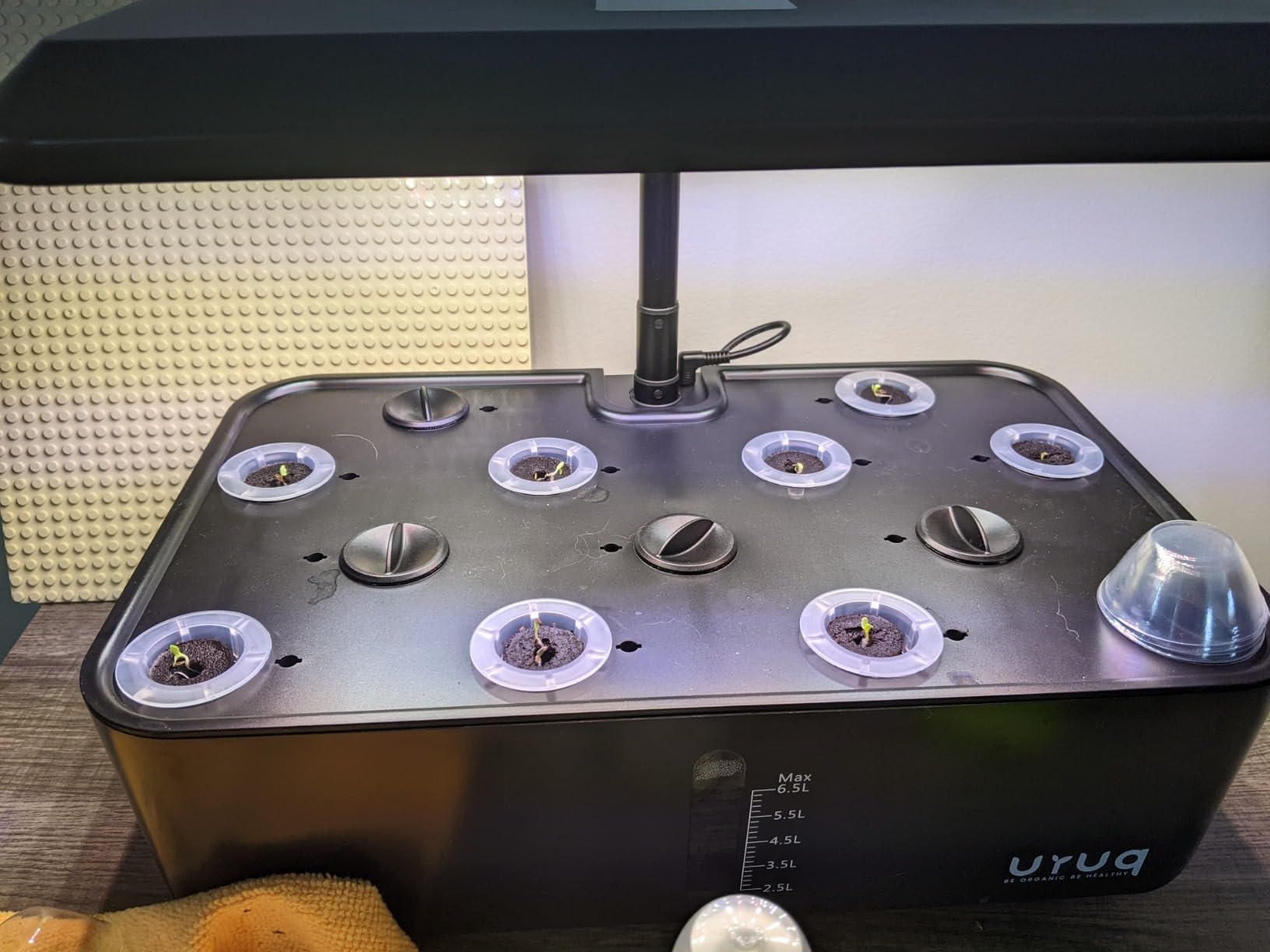 URUQ 12 Pods Hydroponic Growing System LED Grow Light Remote Control White customer photo 1