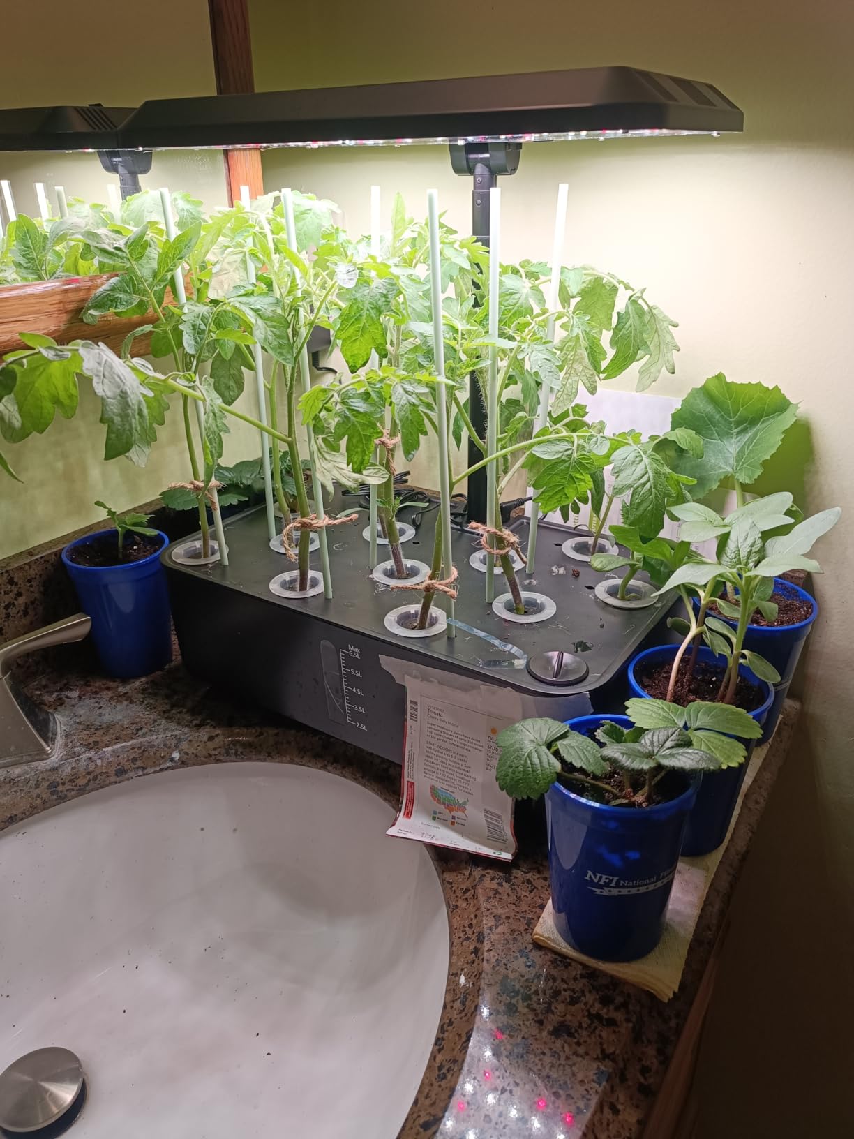 URUQ 12 Pods Hydroponic Growing System LED Grow Light Remote Control White customer photo 2
