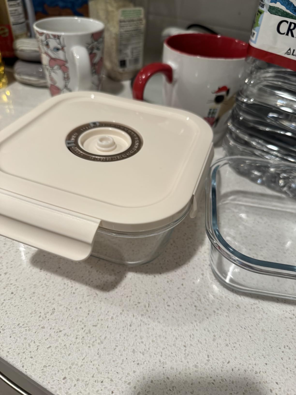 3-Piece Rectangle Glass Vacuum Food Storage Containers Set with Hand Pump & 10 Sealer Bags, Borosilicate Airtight Meal Prep Lids with Date Tracker, Leakproof, Freezer & Microwave Safe [21/35/50 Oz] customer photo 1