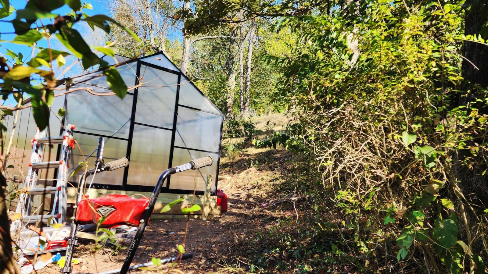 6x4FT Greenhouse with Hygrometer, Windproof Warm Plant Green Houses customer photo 1