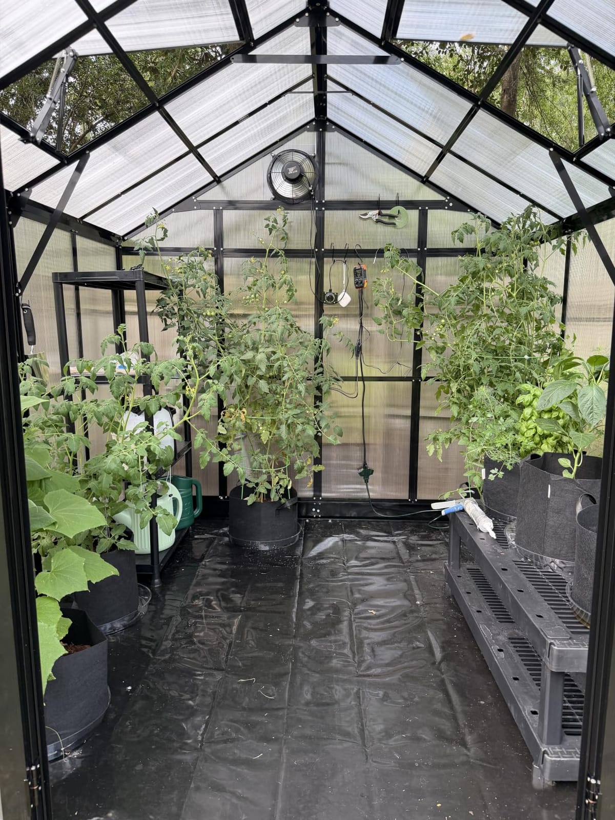 HOWE 10x18x8.4 FT Polycarbonate Greenhouse with 4 Vent Windows customer photo 2