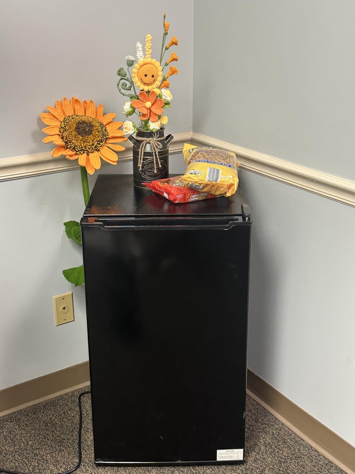 BODACIOUS Mini Upright Freezer - 3.2 Cu.Ft Compact Small Freezer - Black customer photo 1