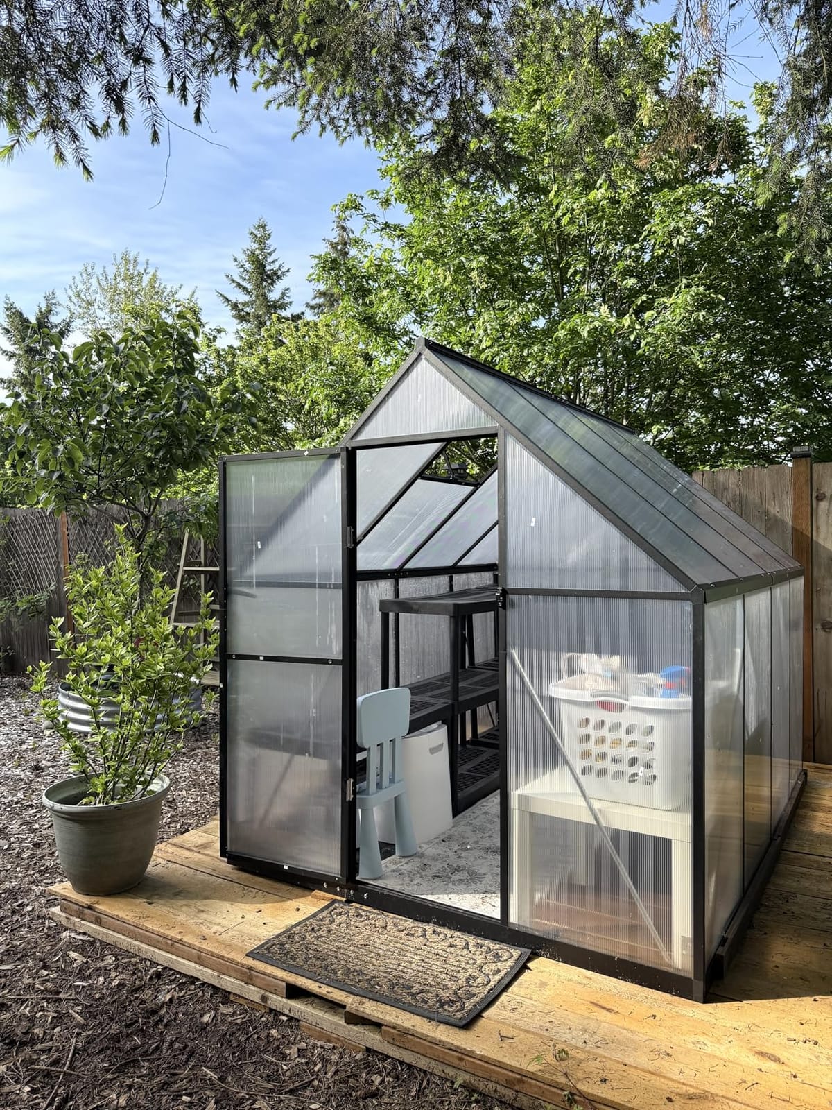 6x8 FT Greenhouse for Outdoors, Polycarbonate Greenhouse with Roof Vent, Enhanced Aluminum Large Walk-in Green House for Garden Backyard customer photo 1