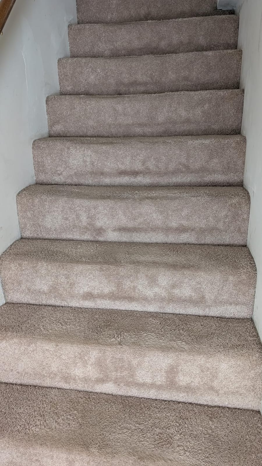 Shark PowerPro Reveal Plus Cordless Vacuum Cleaner - Charcoal - IZ376H customer photo 1
