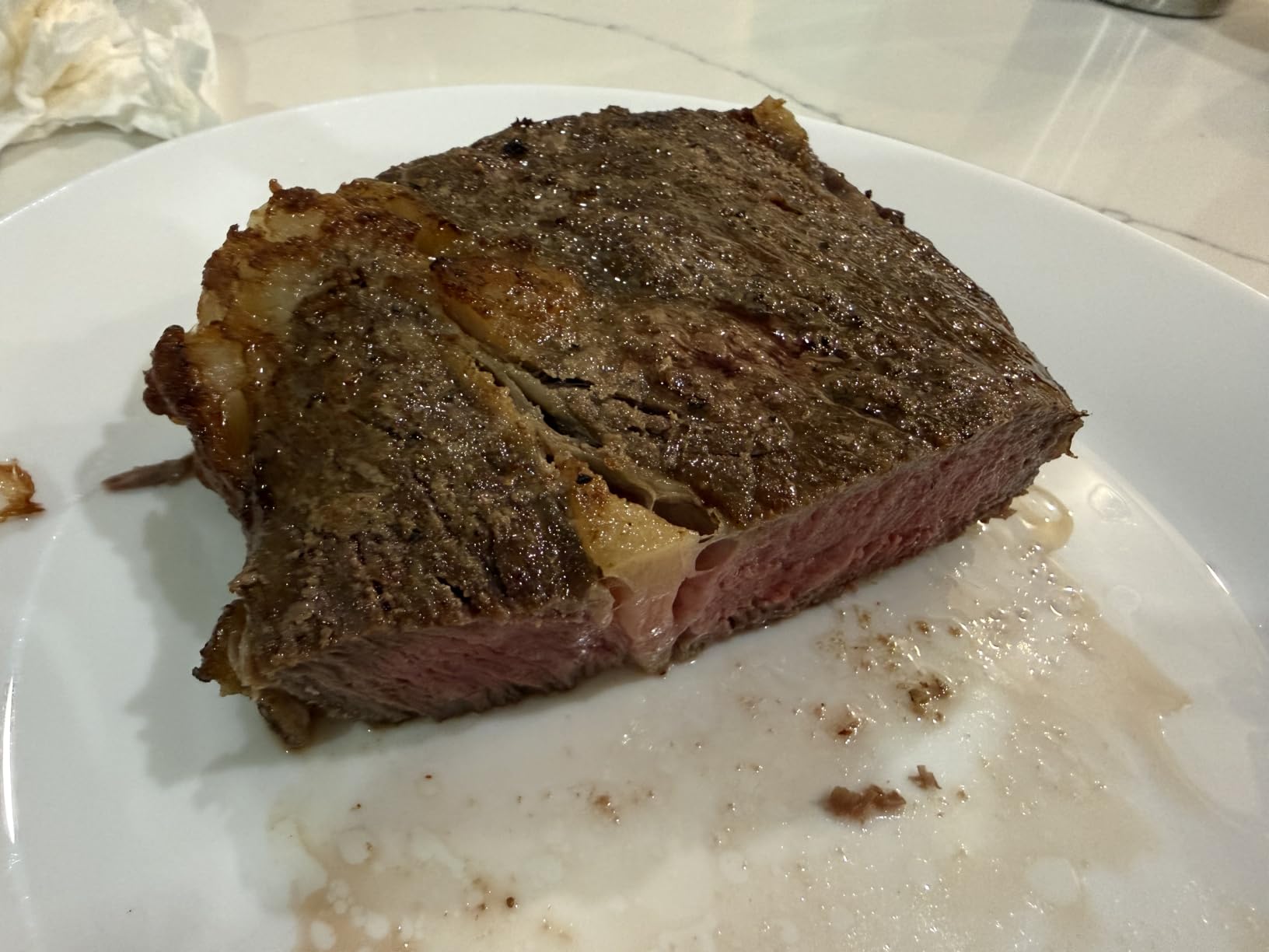 Typhur Sync Air Fryer Oven with Wireless Meat Thermometer Probe, AI Recipes customer photo 1