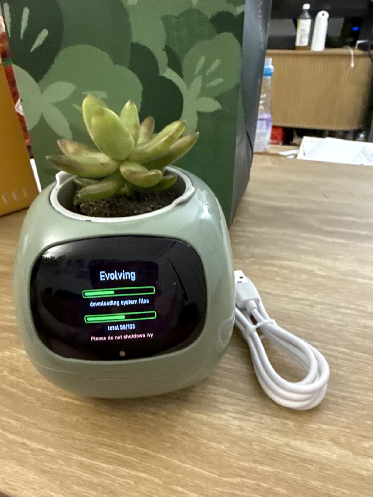 PLANTSIO Ivy AI Smart Planter Intelligent Flower Pot for Home Decoration Plants Companion Neat Desk Setup Gift Pet Planter Robot Guidance on Plant Care with Emojis (Oliver) customer photo 1