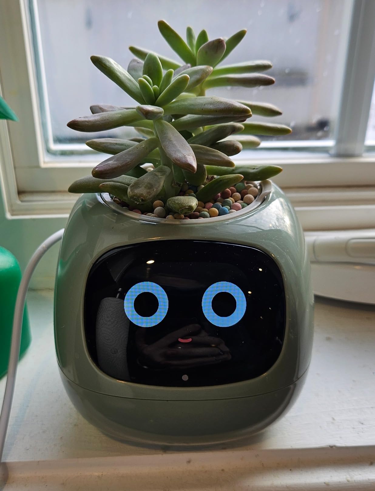 PLANTSIO Ivy AI Smart Planter Intelligent Flower Pot for Home Decoration Plants Companion Neat Desk Setup Gift Pet Planter Robot Guidance on Plant Care with Emojis (Oliver) customer photo 2