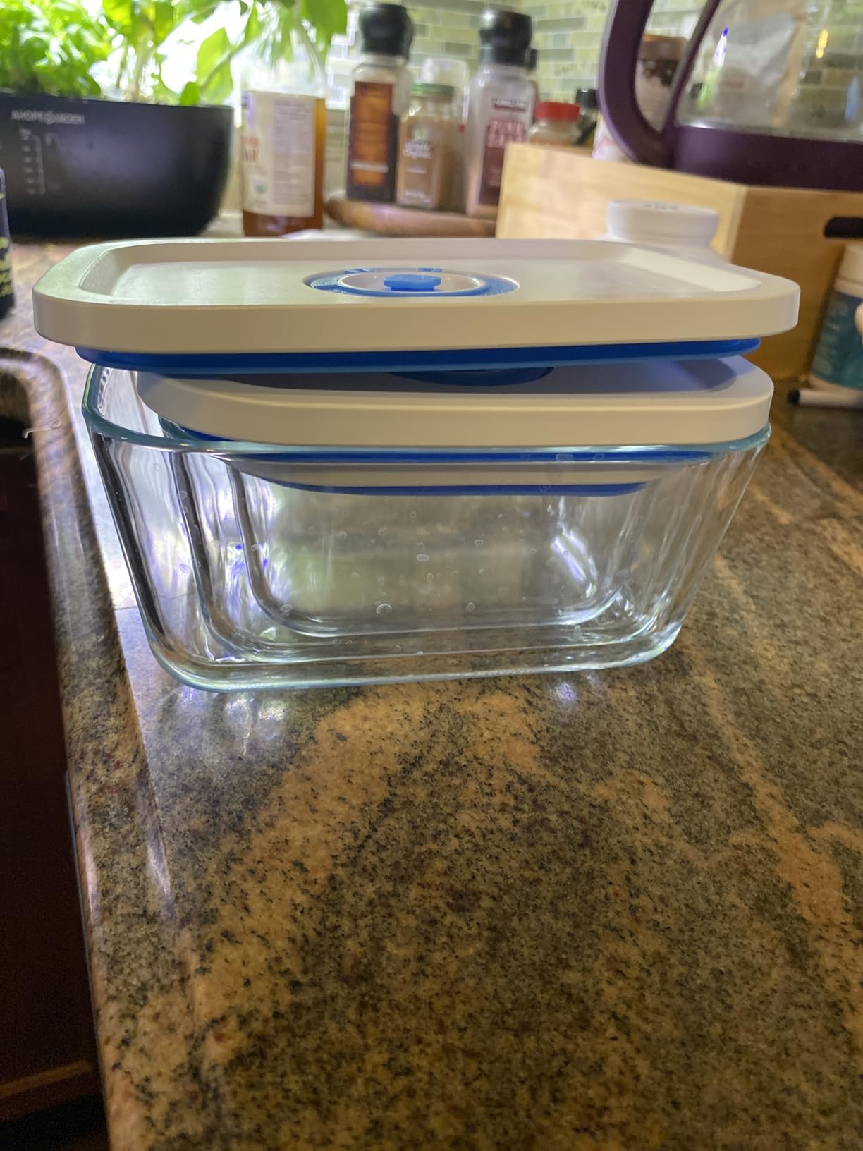 Vacuum Seal Borosilicate Glass Containers for Food Storage, 4 Sizes (S M L XL) Compatible with Desktop and Handheld Vacuum Sealer Machines, Airtight Lid Set customer photo 1