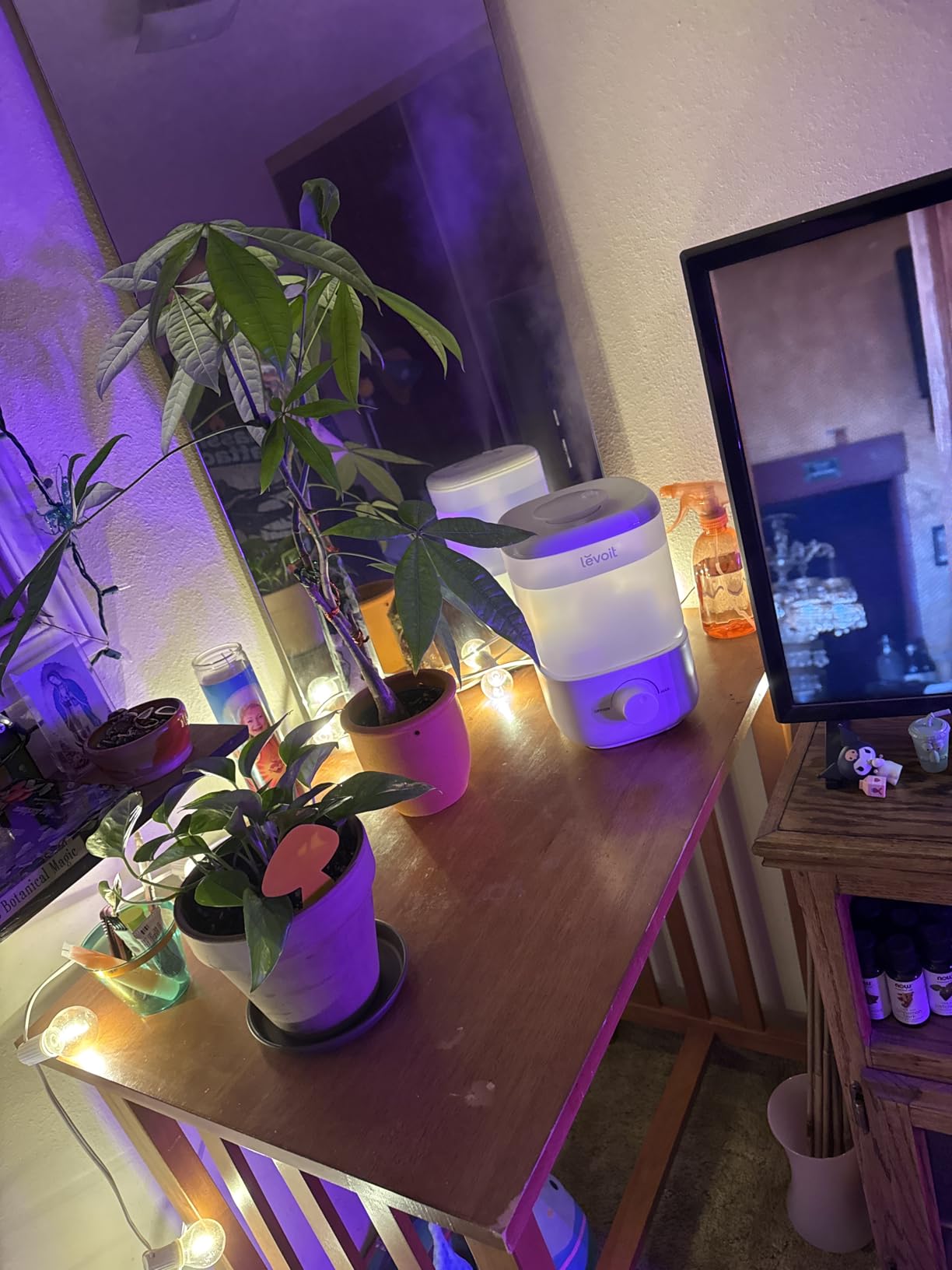 Levoit Humidifiers for Bedroom 4.2L Top Fill for Large Room, NeoClassic 450 customer photo 2