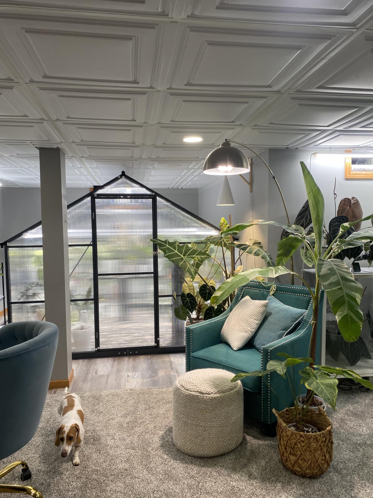 6x8FT Polycarbonate Greenhouse, with Vented Roof Window, Charcoal Gray customer photo 2