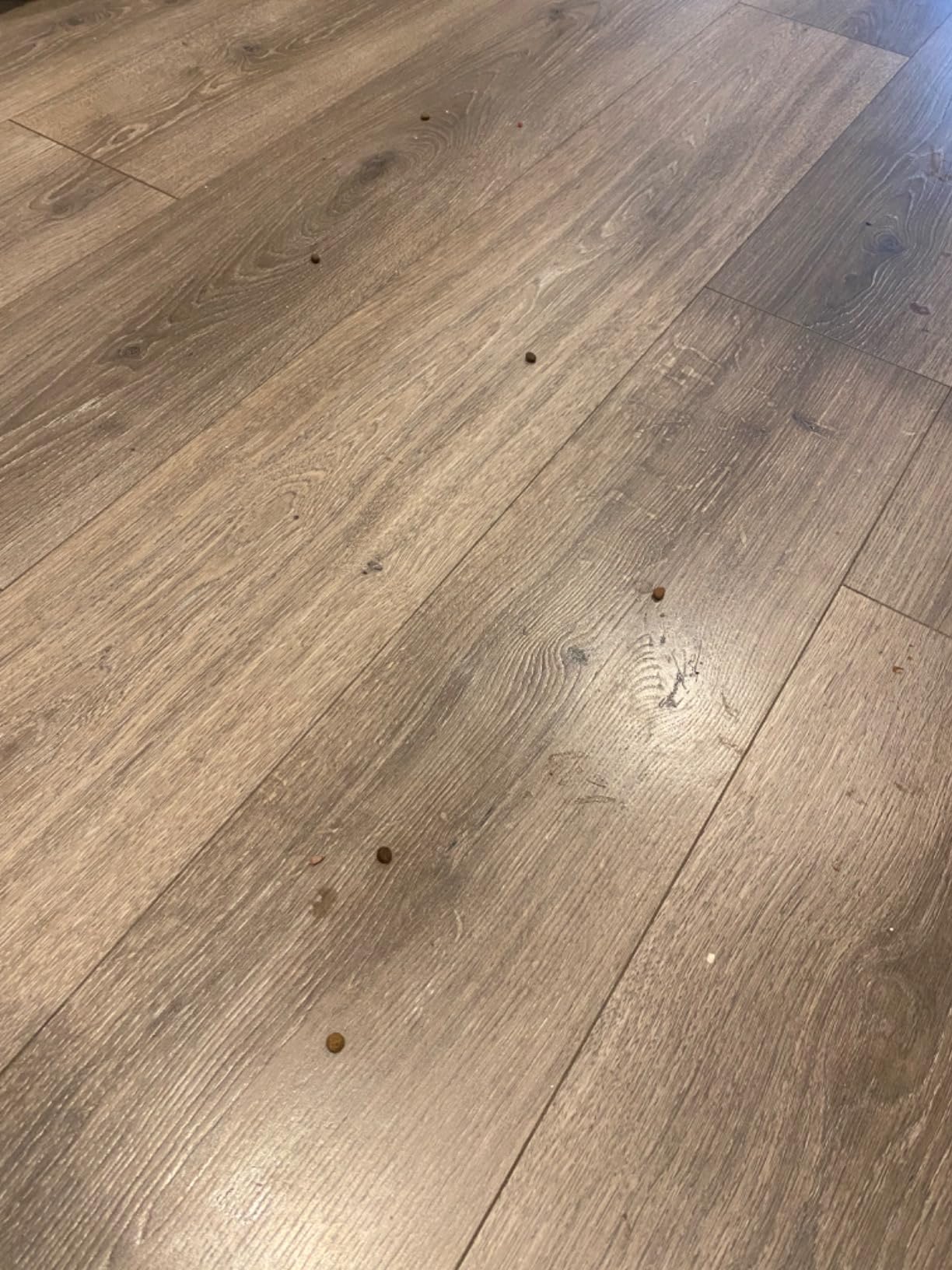 iRobot Roomba Max 715X Pet Robot Vacuum, 30,000Pa Suction, Dual Rubber Anti-Tangle Brushes & Side Brush, 90 Days Self-Emptying, PrecisionVision AI Obstacle Avoidance, 3D Mapping, Advanced Dirt Detect customer photo 1