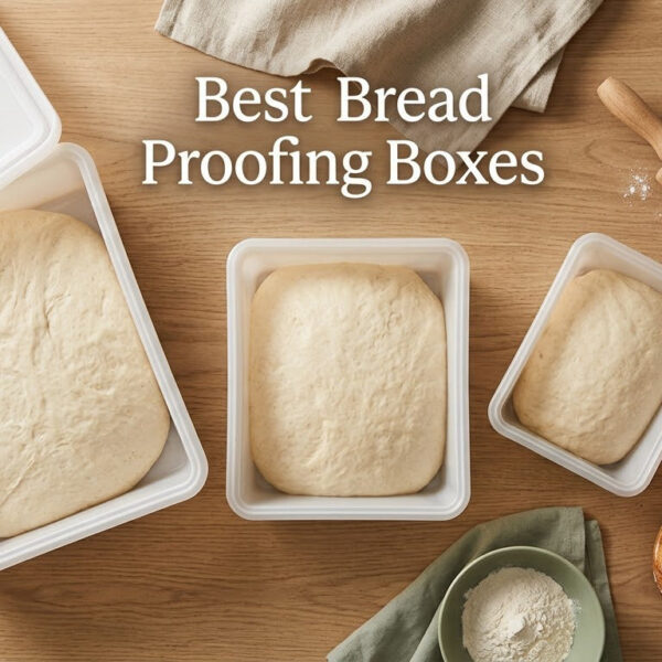Best Bread Proofing Boxes