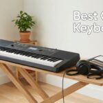 Best Casio Keyboards
