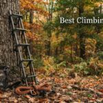 Best Climbing Sticks