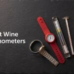 Best Wine Thermometers