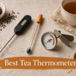 Best Tea Thermometers