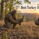Best Turkey Decoys