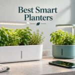 Best Smart Planters
