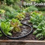 Best Soaker Hoses