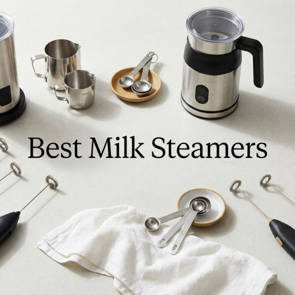 Best Milk Steamers